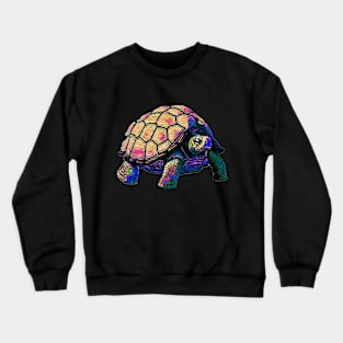 Vaporwave Turtle Crewneck Sweatshirt